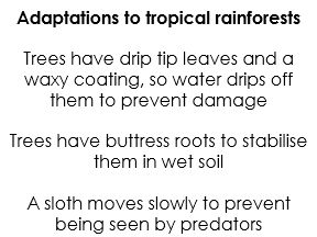 GCSE Geography Paper 1 Flashcards