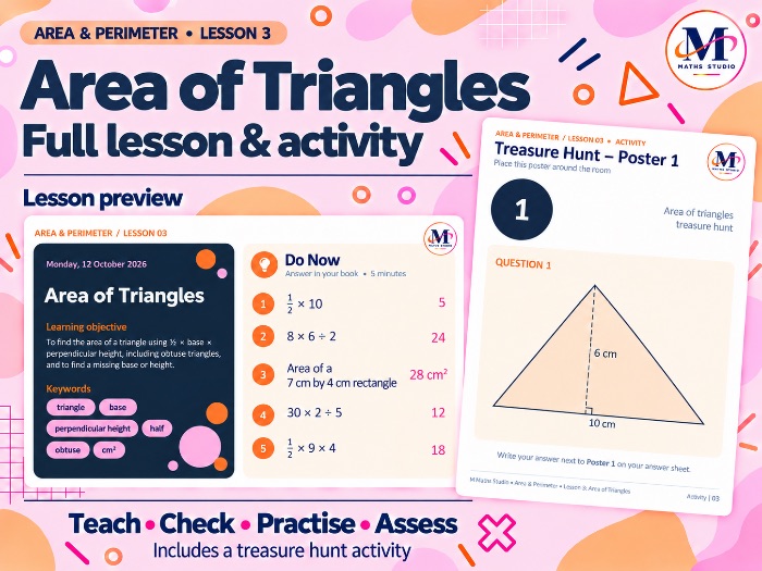 Area of a Triangle | Lesson & Activity