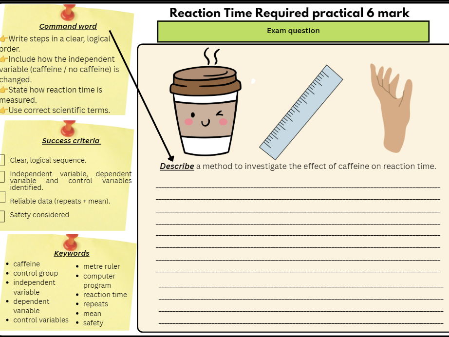 GCSE Biology Paper 2 Required Practical – Reaction Time (Caffeine & Ruler Drop Test)
