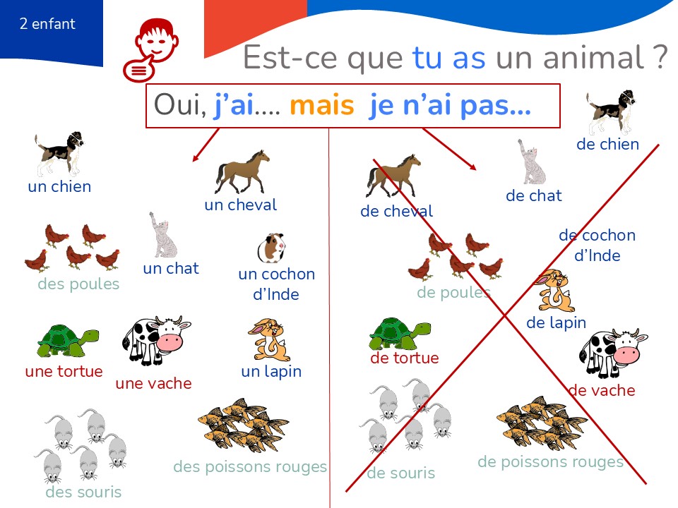 Tu as un animal ? Use conjunctions to extend your answer_With native voice over