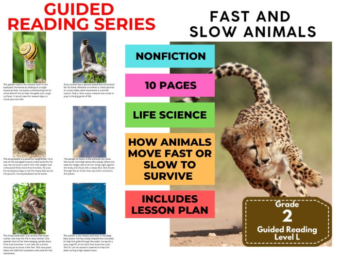 Guided Reading Level L - Fast and Slow Animals (with Lesson Plan)