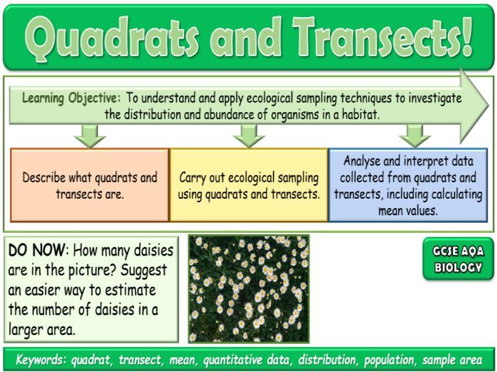 Quadrats and Transects AQA GCSE (9-1) Biology