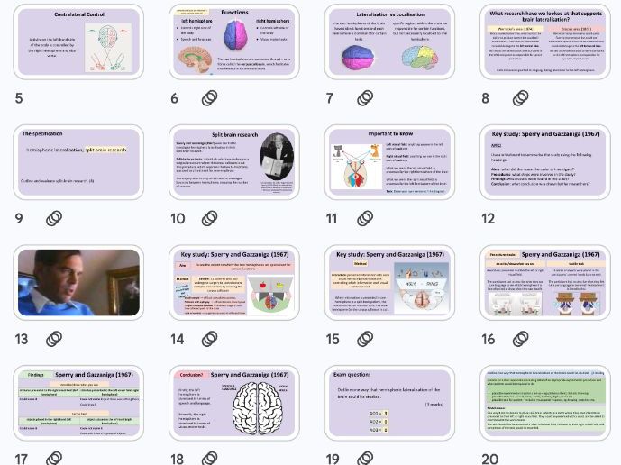 A Level Psychology: Lateralisation + Split Brain Research - Biopsychology NEW AQA 2025 Specification