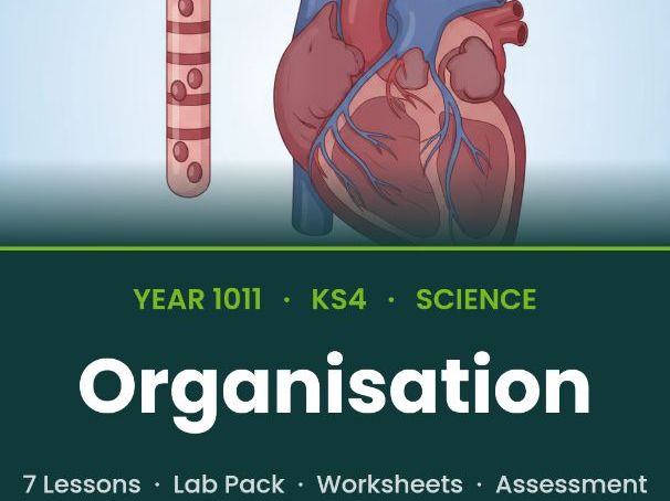 GCSE Biology: Organisation | Full Unit + Required Practical (AQA)