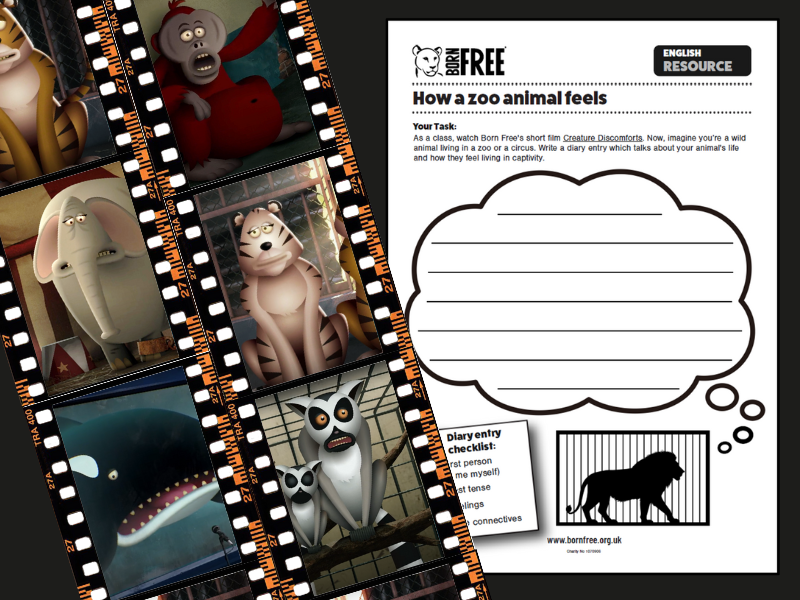Zoo Animal Diary - KS1 English Worksheet