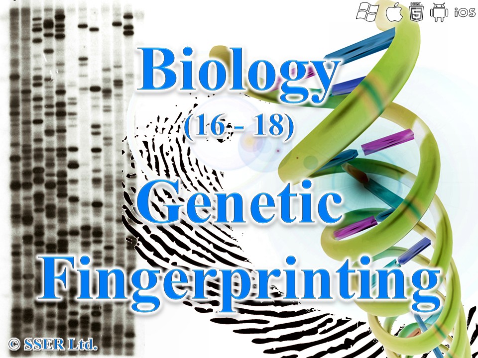 BioA_3.8.4.3 Genetic Fingerprinting
