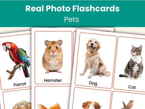 Pets Flashcards | 24 Real Photo Vocabulary Cards | Printable Resource