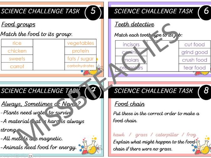Y4 Brain Booster Cards