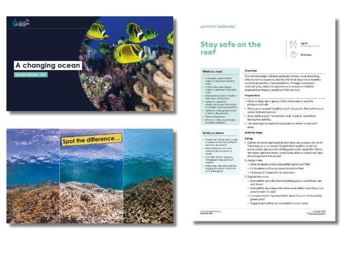 A changing ocean KS1 full lesson