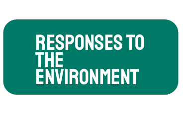 AP Biology Unit 8: Response to the Environment