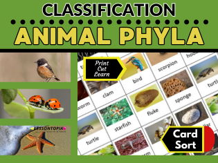 Animal Classification | Animal Phyla | Card Sort | KS2–KS3 Science