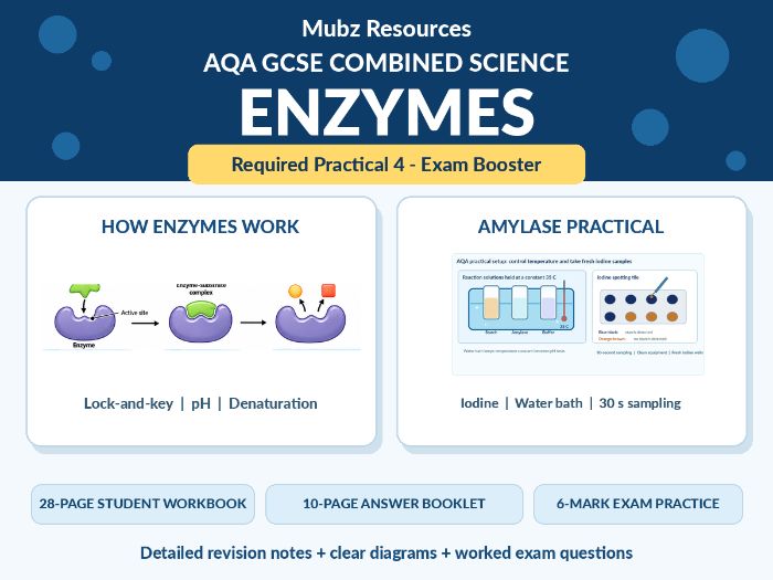 AQA GCSE Enzymes Required Practical