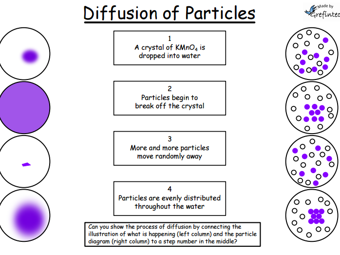 Diffusion - Differentiated Worksheets | Teaching Resources