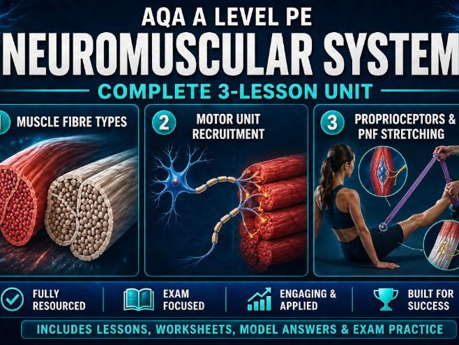 AQA A Level PE – Neuromuscular System | Complete 3-Lesson Unit