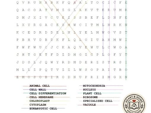 Cell Biology Word Search | Fun Science Worksheet for Students & Teachers