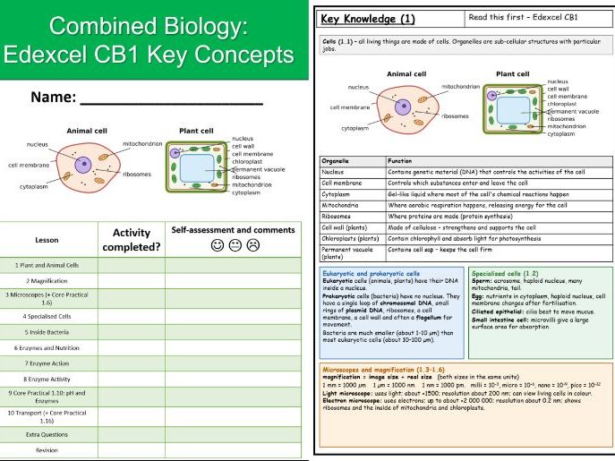 Edexcel GCSE Biology CB1 Key Concepts Booklet – Cells, Magnification, Enzymes, Transport