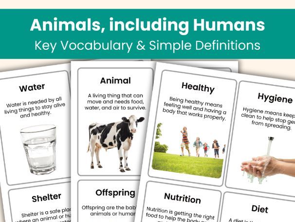 Animals, Including Humans Vocabulary Flashcards | Year 2 Science