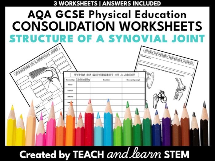 Structure of a Synovial Joint Worksheet | AQA GCSE PE