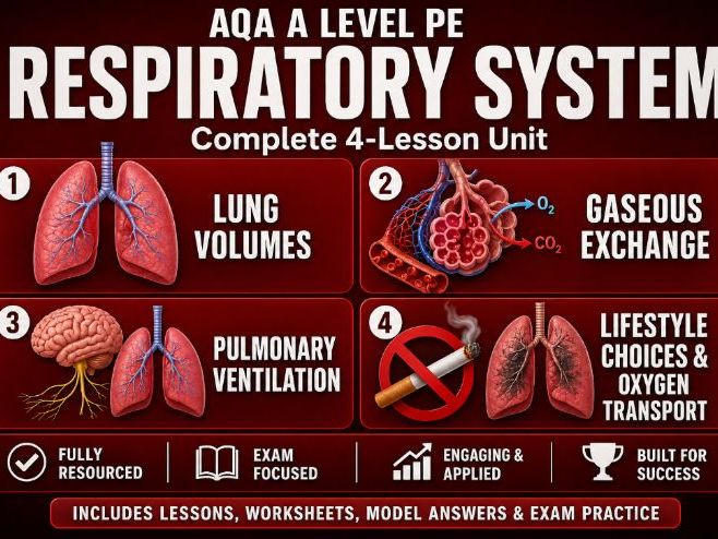 AQA A Level PE – Respiratory System | Complete 4-Lesson Unit