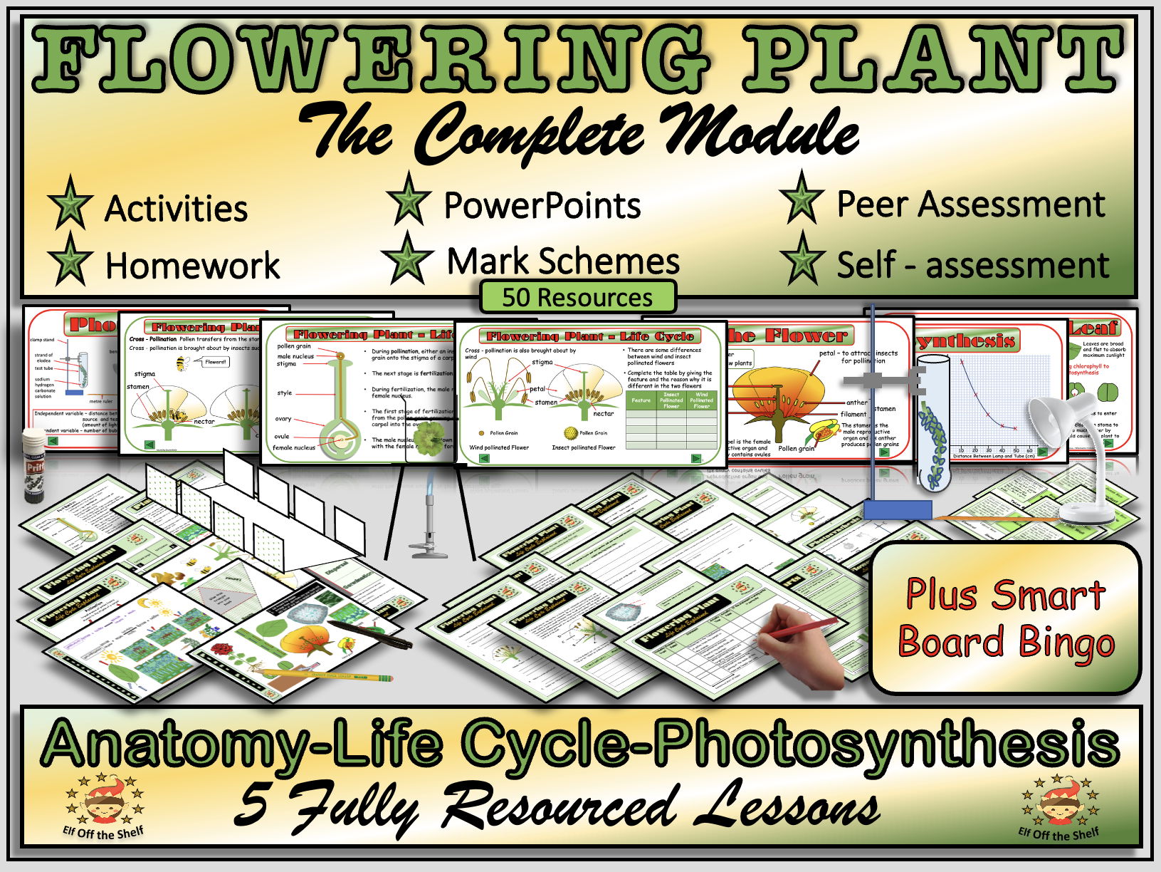 Plant Anatomy Lifecycle and Photosynthesis 5 Fully Resourced Lessons Plus Bingo Game KS3