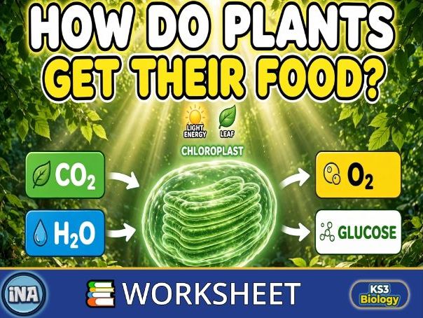 Plant Nutrition - KS3 Biology Worksheet