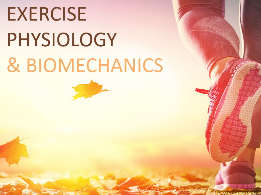 AQA A-Level PE Resource Bundle: Exercise Physiology & Biomechanics
