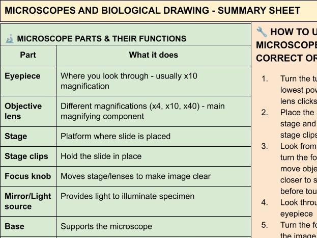 B1 AQA Trilogy Microscopes and Magnification + Activity Sheet