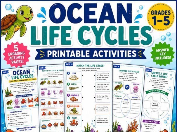 Ocean Life Cycles Activities | Marine Biology Worksheets | Ocean Science Pack