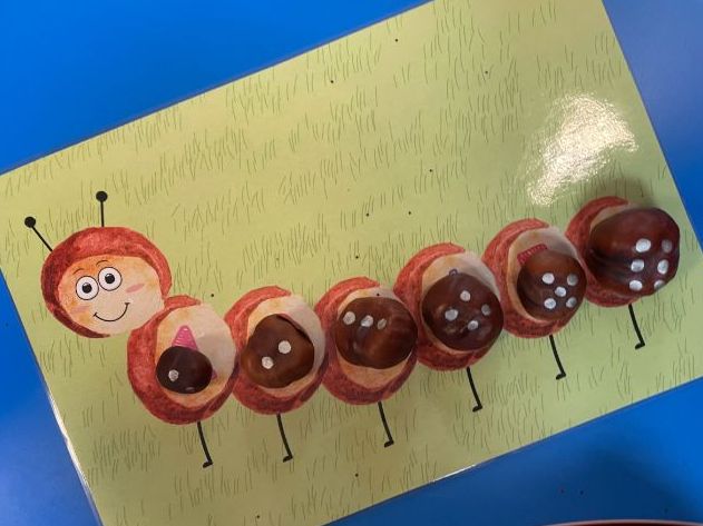 Conker Caterpillars