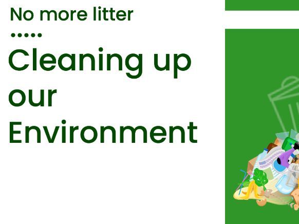 3 lessons about littering