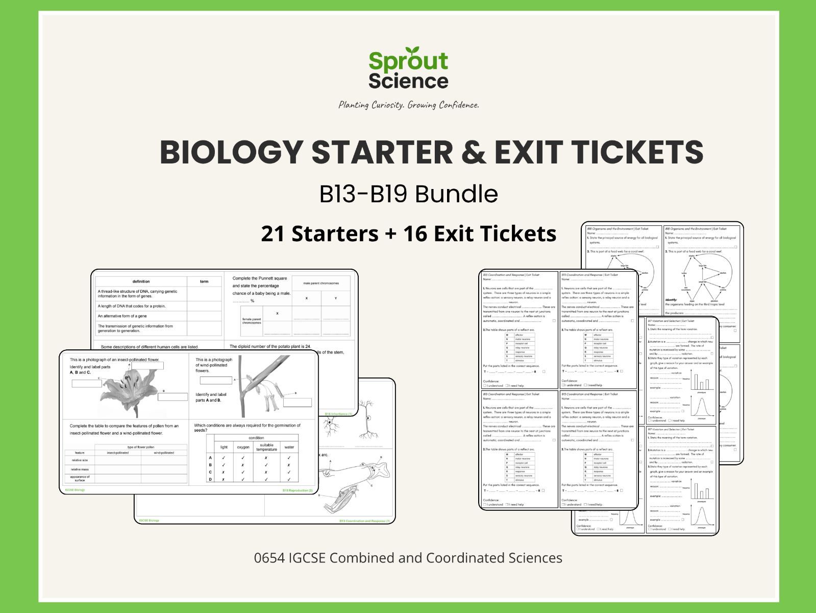 Biology Starters & Exit Tickets Bundle | IGCSE (B13–B19)