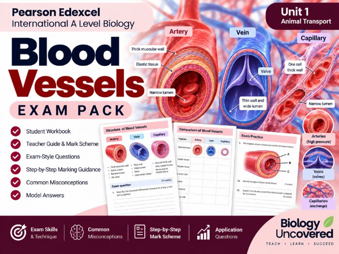 IAL Biology Unit 1: Blood Vessels Exam Pack