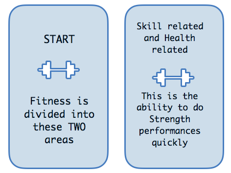 Physical Education: Components of Fitness Worksheet & Activity