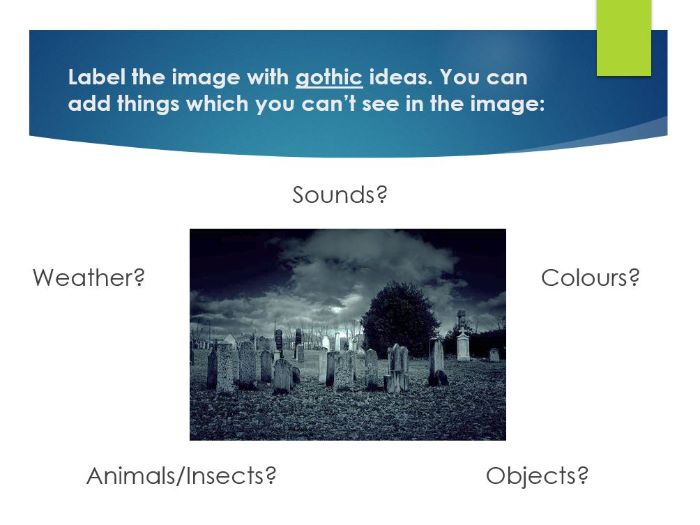 Gothic Lesson - Writing Check (Year 8)