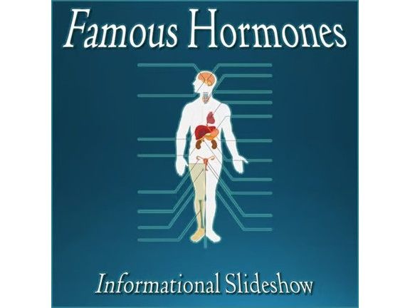 Famous Human Hormones - Informational Editable PowerPoint Slideshow