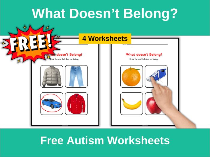 Free What Doesn’t Belong Autism Worksheets