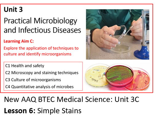 AAQ BTEC Medical Science Unit 3C Practical Microbiology - Lesson 6: Simple Stains