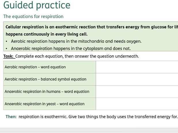 AQA 4.4 Bioenergetics - Guided practice