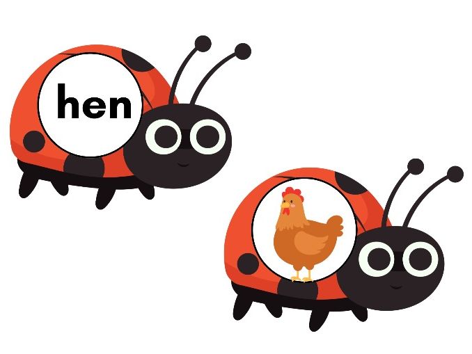 CVC Word Ladybirds Phase 2 phonics – Read and Match Phonics Activity (EYFS/KS1)