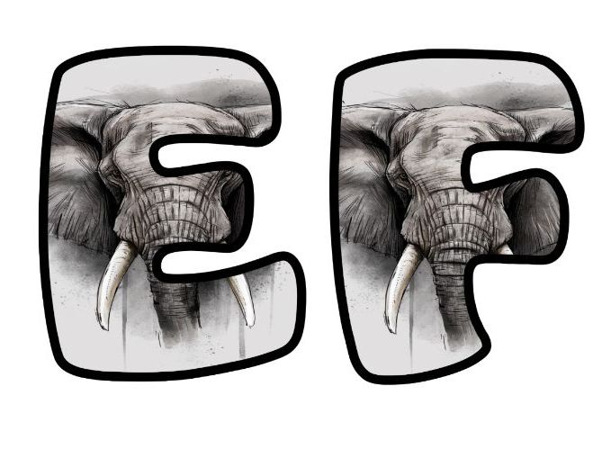 Elephant Head Zoo Animals Classroom Display Lettering Set | Upper & Lowercase Letters, 0-9 and Signs