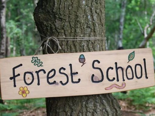 Upper KS2 Forest School Planning Pack | 11 Session Plans with Tools & Fire Options