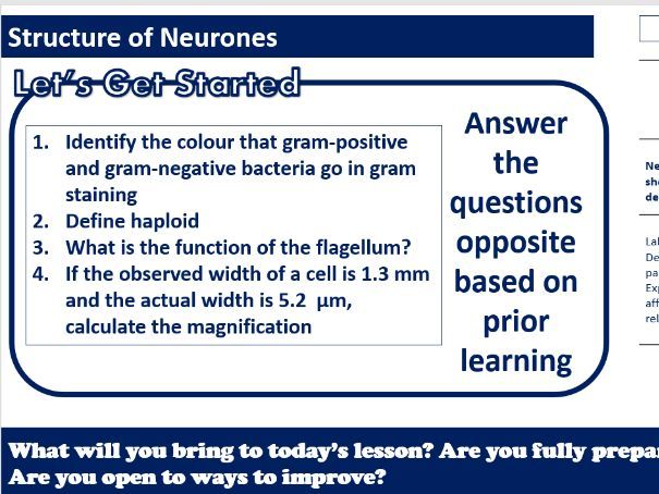 Neurones- AAQ Applied Science