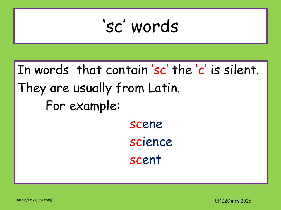 Y4 GPS Words containing sc and ch Pack