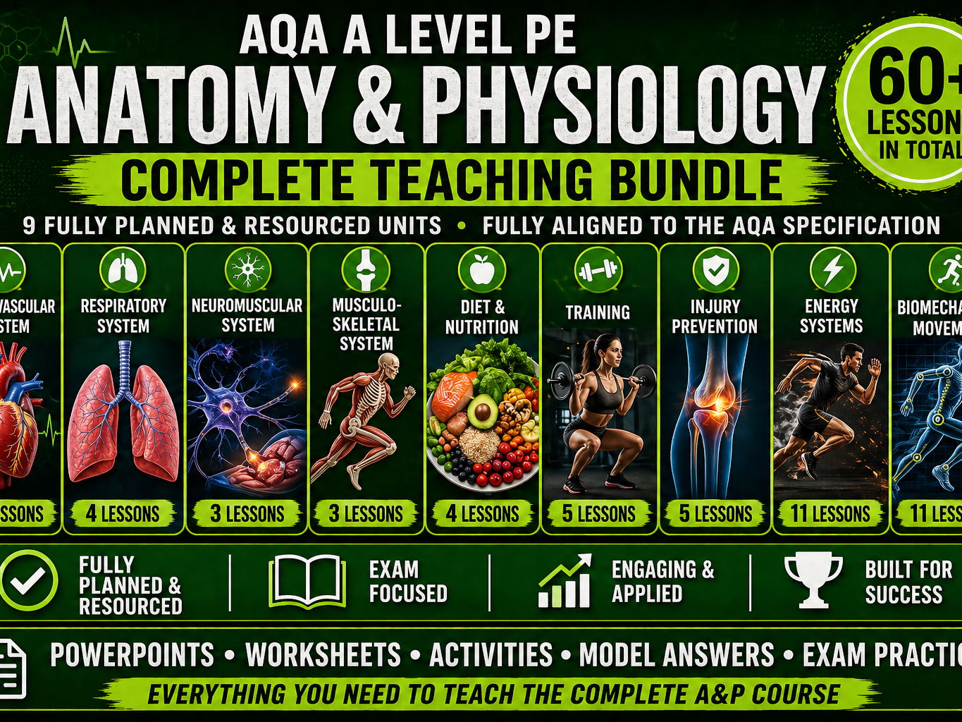 AQA A Level PE – Anatomy & Physiology | Complete Resource Bundle