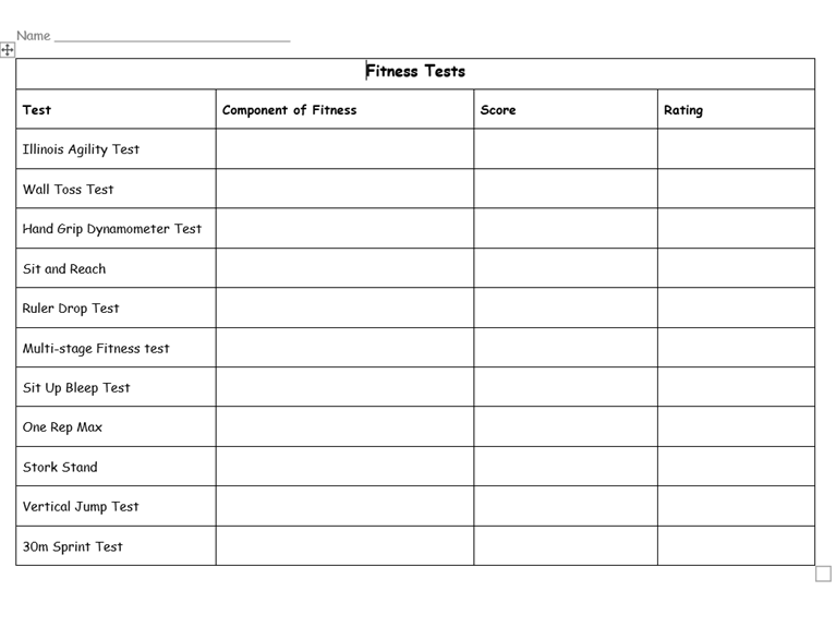Fitness Test Cards for GCSE PE