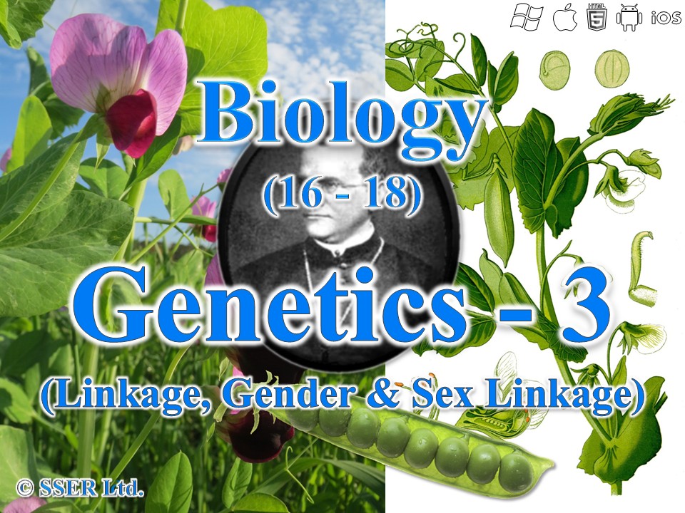 BioA_3.7.1 Genetics 3 - Linkage, Gender and Sex Linkage