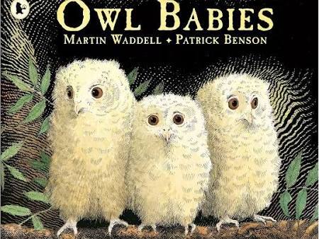 Owl Babies Resources- Sentence Punctuation