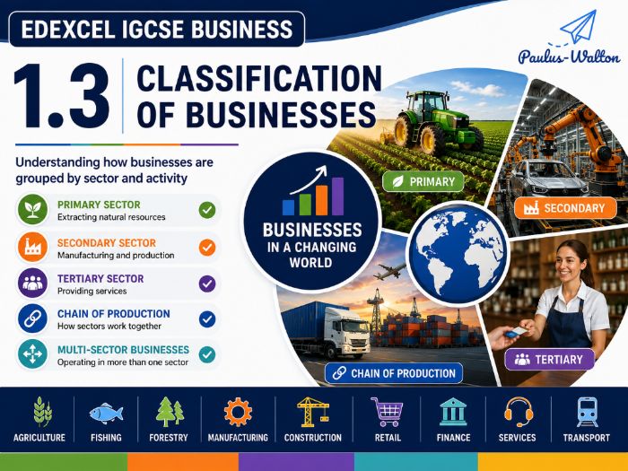 IGCSE Business 1.3 Classification of Businesses
