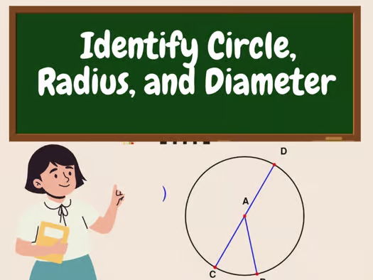 Identify Circle, Radius, and Diameter - Circle Worksheets