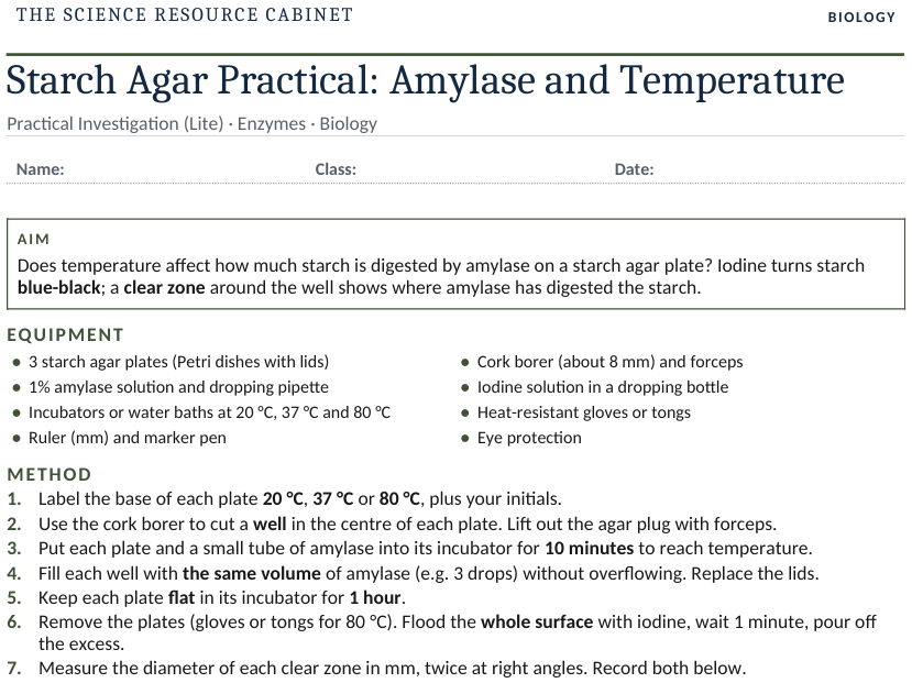 Amylase Agar Practical: Effect of Temperature